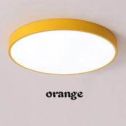 Modern minimalist ceiling light